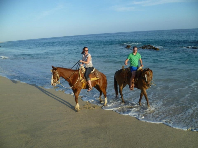  Promenades à cheval sur la plage 